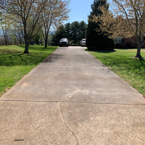 Sidewalk Cleaning